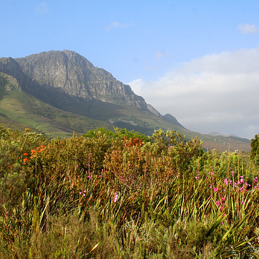 Hottentods Holland Mountain Range Expanding The Sky Line